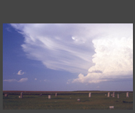 Ethereal Storm Cloud