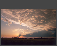 Spectacular Mammatus Sunset