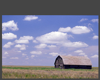 Idyllic Barn