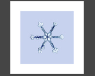 Snowflake (WxSnow100a_17)