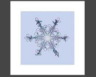 Snowflake (WxSnow100g_02)