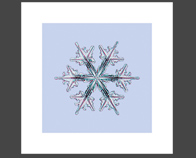 Snowflake (WxSnow100g_30)