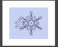 Double Snowflake