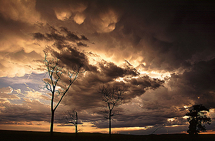 A mix of mammatus clouds and sun and tree silhouettes create a surreal landscape - a reward of the long hours on the road chasing storms.