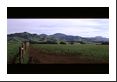 Rolling, lush hillsides along Pacific Coast Highway reminded me of south-central France.