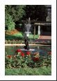 Roses rim the entire fountain and nearly everyone was blooming.