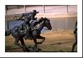 One of the three mounted cowboys rounding up seventy steers in Pioneer Plaza near the Dallas Convention Center.