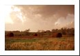 Funnel cloud in bright sky, foreground in shadow